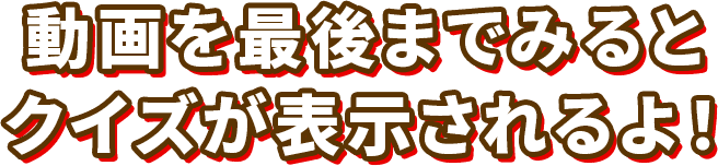 動画を最後まで見るとクイズが表示されるよ